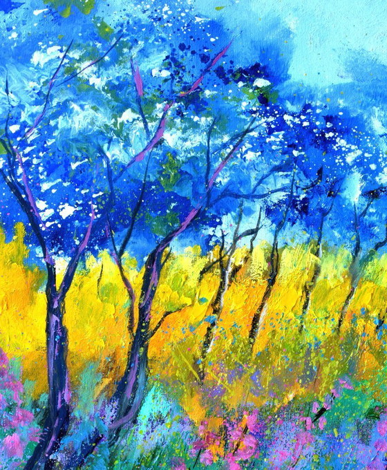Image 1 of Luce estiva nel bosco