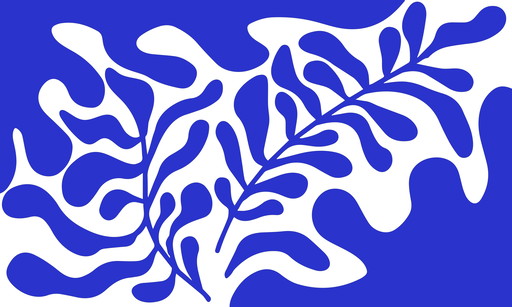 Henri Matisse: Feuille Blanche Sur Bleu