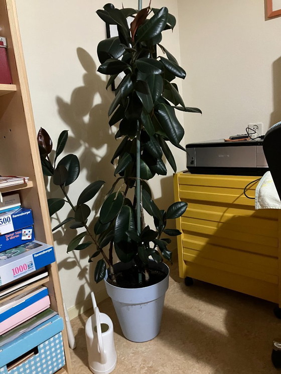 Image 1 of Botervloot Portmeirion Summer Strawberries in prima staat