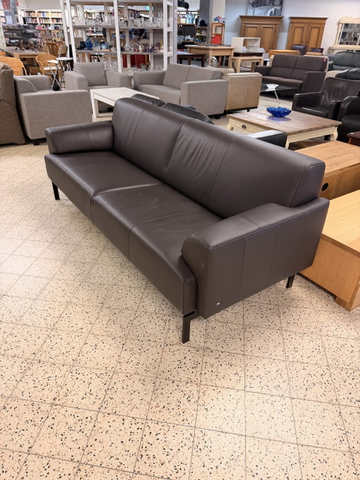 Rolf Benz RM 120 designbank