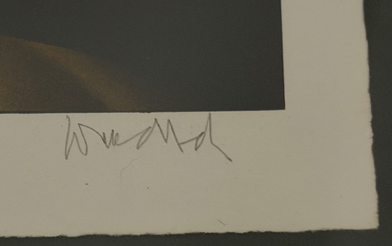 Image 1 of Paul Wunderlich litho