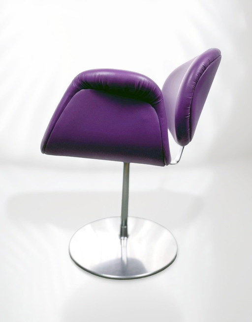 Little Tulip by Pierre Paulin for Artifort