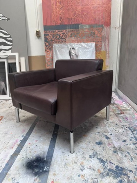 Poltrona Boss Design, pelle marrone, Poltrone, Metallo, Modern (foto 6 di 8)