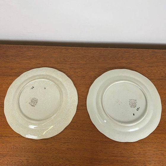 Image 1 of Set di 2 piatti da collezione Choisy le Roi, Ironstone, motivo floreale, fine XIX secolo