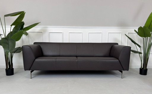 Rolf Benz Linea 318 Sofa Leder Braun Couch Bank 215cm