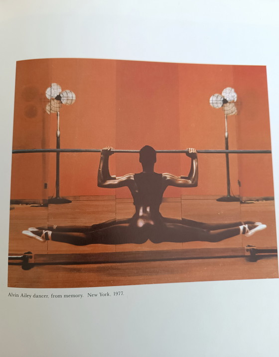 Image 1 of Jungle fever by Jean-Paul Goude 1982 book, French language 
