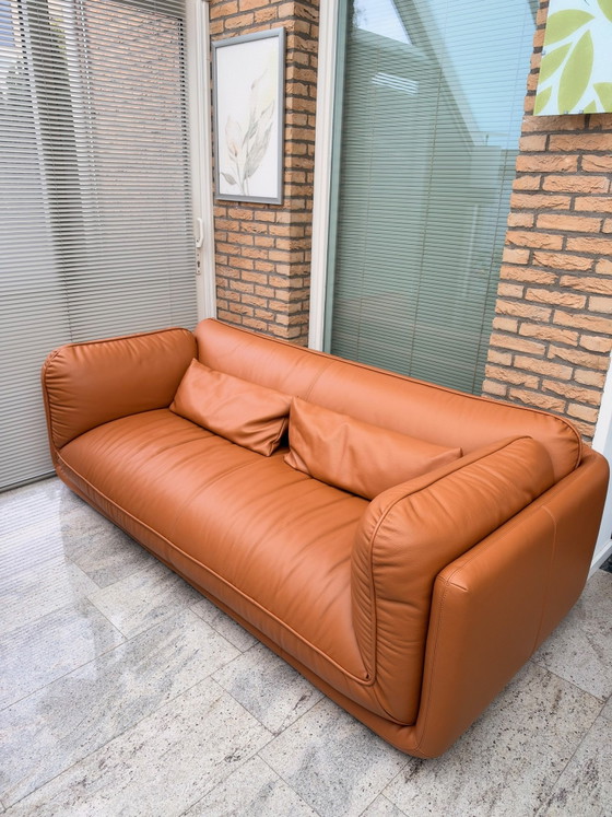 Leolux Lunetta, 3 posti, pelle Ceras 2510 Brandy – Divani 3 posti (photo 2 of 12)