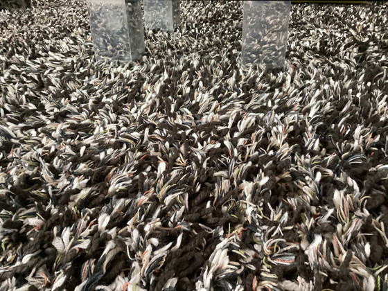 Image 1 of Designer glass coffee table Abel