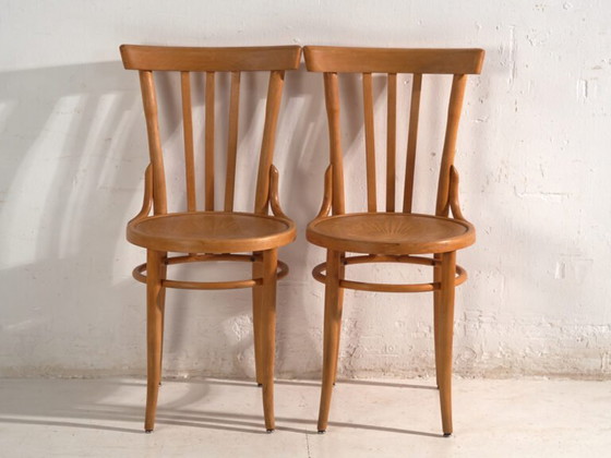 Antique chairs in Thonet style bentwood – Central Europe, circa 1930 #1 – Dining chairs (photo 23 of 40)