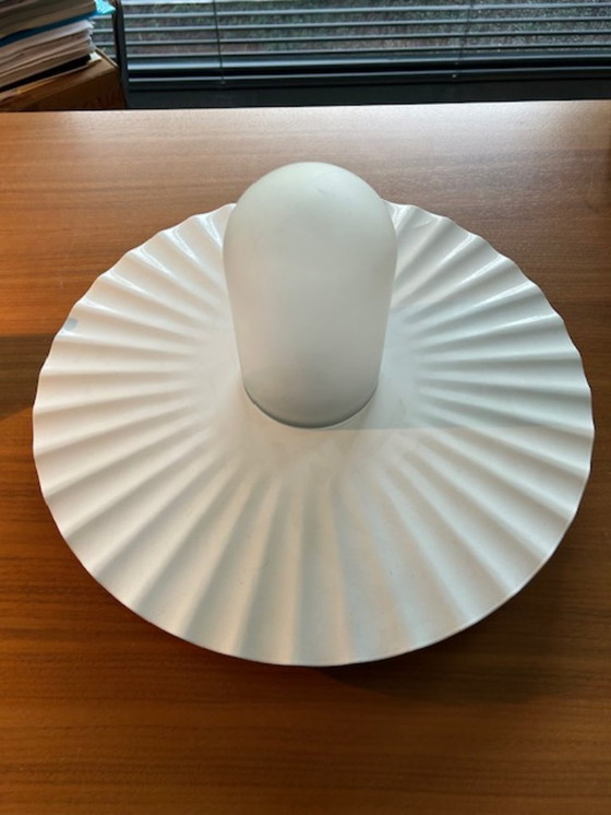 Image 1 of Flos plisado