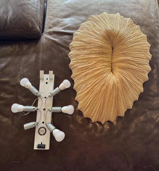 Aqua Creations - Lampe murale/plafonnier Baby Coral