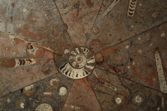 Image 1 of Fossil Stone Pedestal Coffee Table, France, 1970's