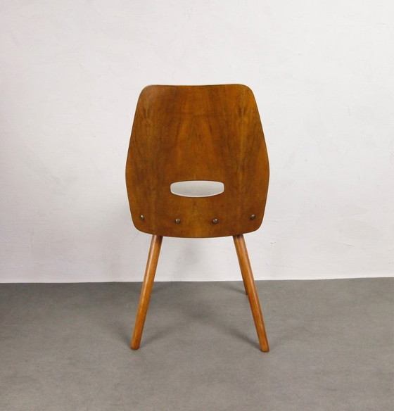 Image 1 of 4x Sedie d'epoca Tatra Pravenec "Gentleman" - 1963