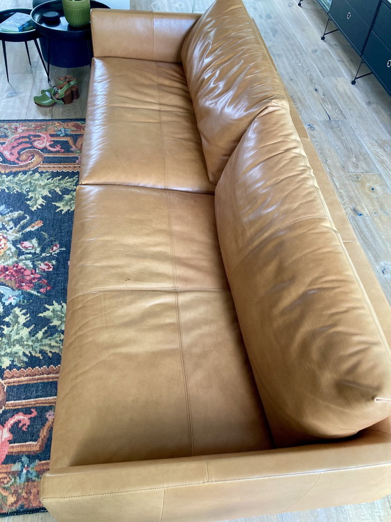 Image 1 of 1 sofá de cuero Montis Axel de 4 plazas