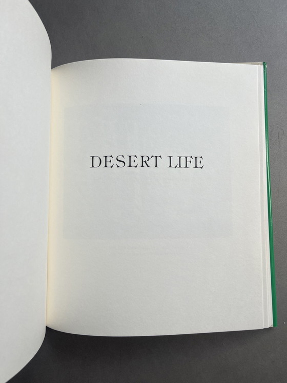 Image 1 of Arabia Saudita: la visione artistica del passato