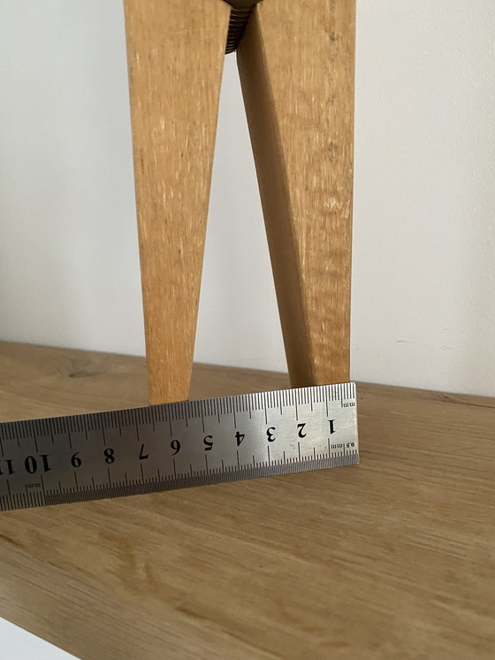 Image 1 of Eyecatcher - reuzen wasknijper - stoer