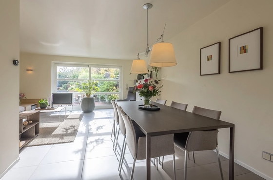 Image 1 of Zanotta Lea armchair 6x