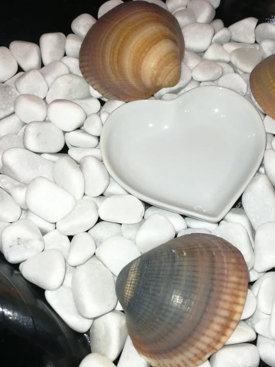 Image 1 of Disco in vinile vintage 33 giri "Zen Garden Shells and Heart Creation"