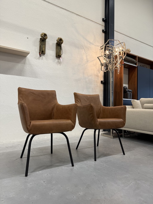 2 Etichetta van den Berg Chief Low Cognac in pelle