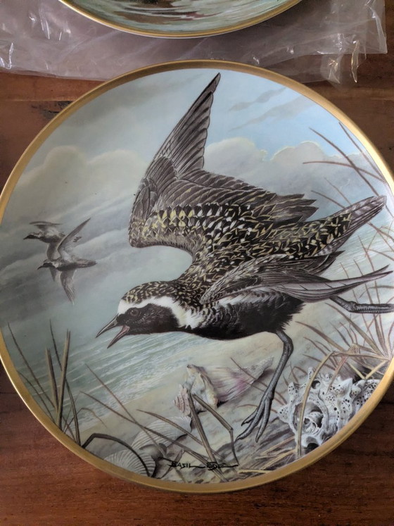 Image 1 of Basil Ede Oiseaux d'eau du monde, ensemble de 12 pièces avec système de suspension