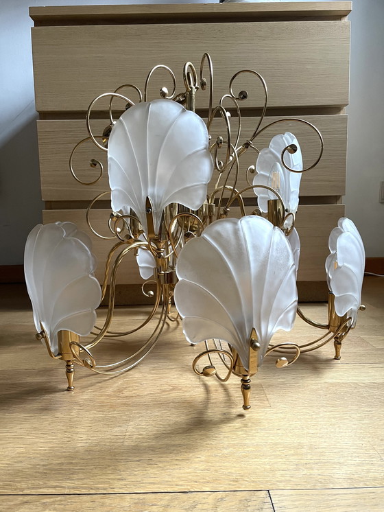 Image 1 of Elegant Italian Vintage Chandelier with Murano Shells