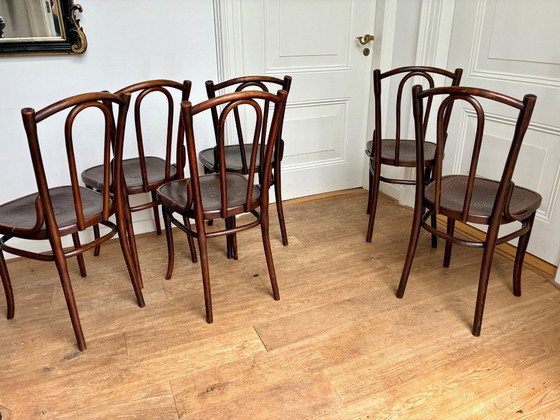 Image 1 of 6 sillas Thonet n.º 56