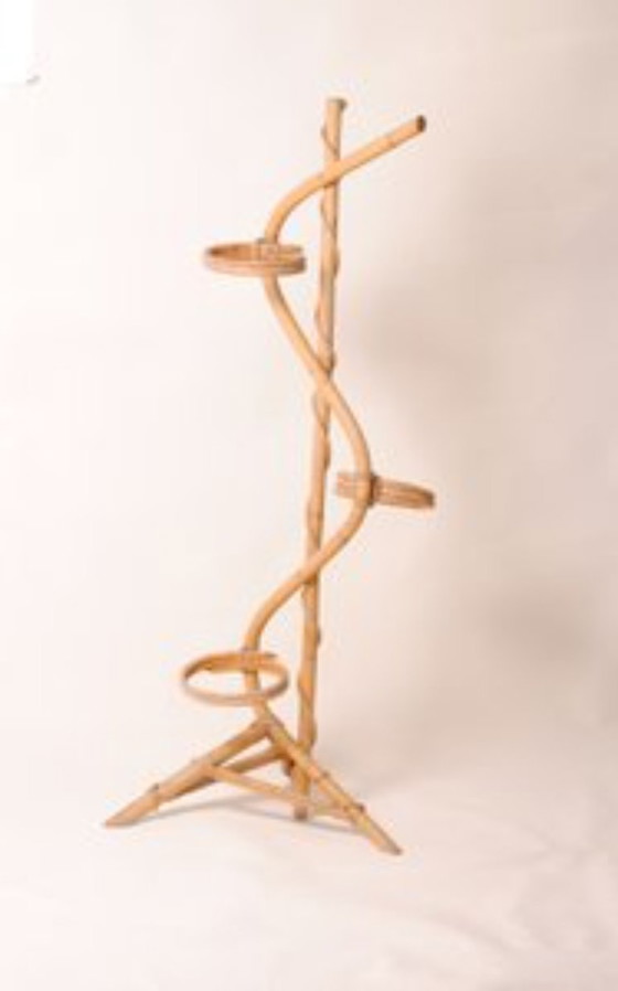 Image 1 of Handmade plant stand in varnished natural bamboo and rattan, 1950s