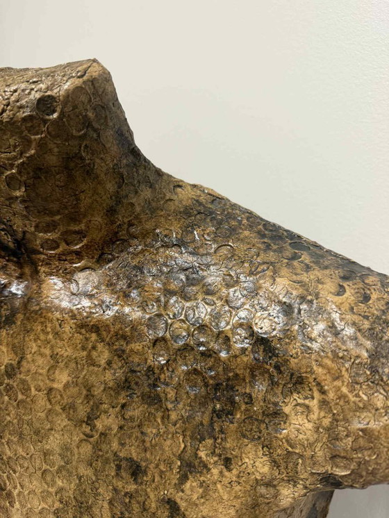 Image 1 of Torso maschile