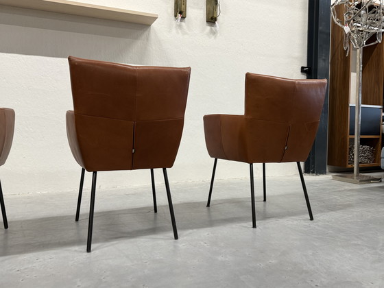 Image 1 of 4 Sillas de comedor Moka de diseño en stock Cera Cognac