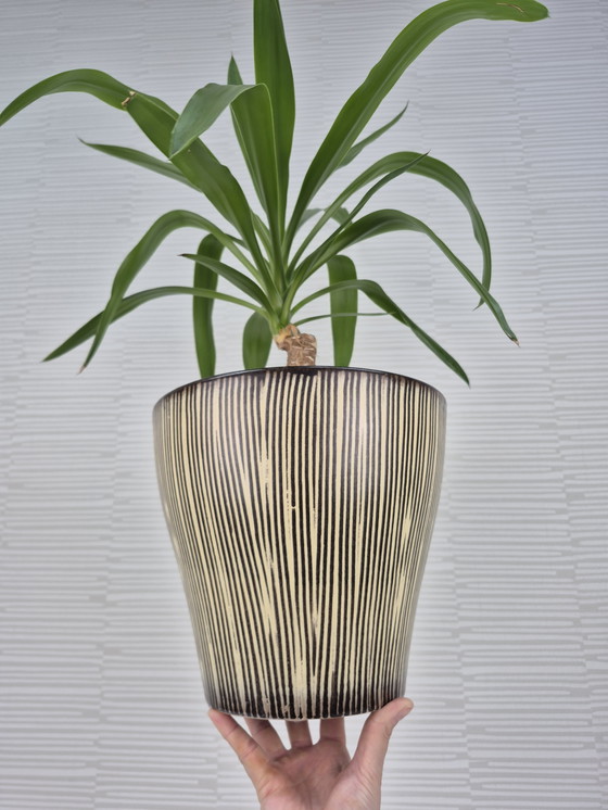 Image 1 of Pot de fleurs XXL en céramique des années 1950. Jardinière vintage « Zèbre ».