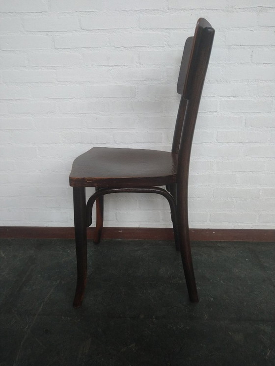 Image 1 of Silla Thonet Mundus con estampado de cocodrilo