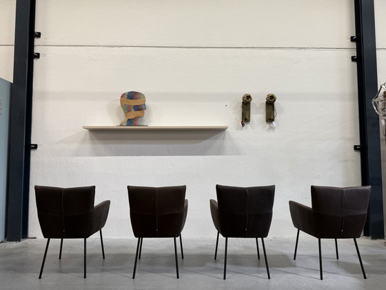 Image 1 of 4 Design on Stock Sedie da pranzo Moka in pelle Cabo Marron