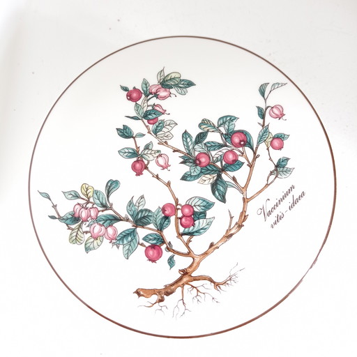 Porcelain box Fruit decoration