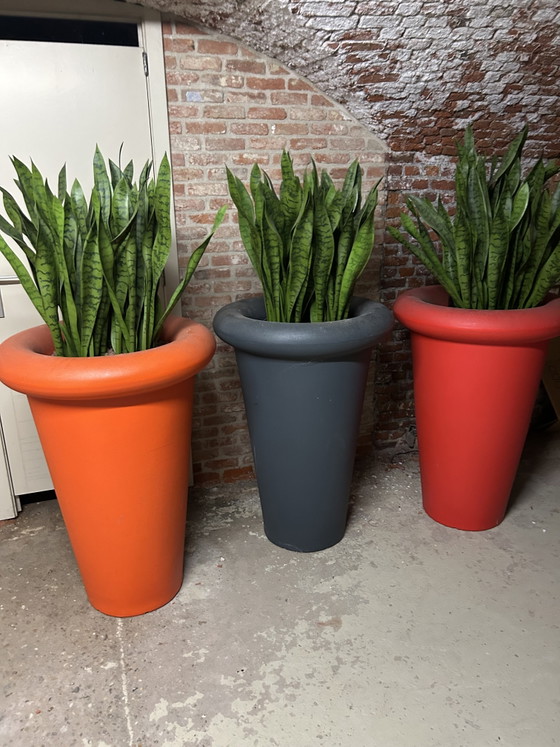 3 XXXL Plant pots – G00000, Plastic (photo 9 of 9)