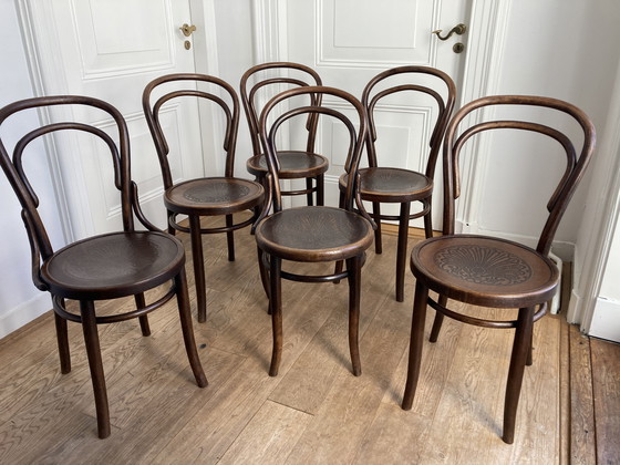 Image 1 of 6x Thonet Design No. 14 Chairs