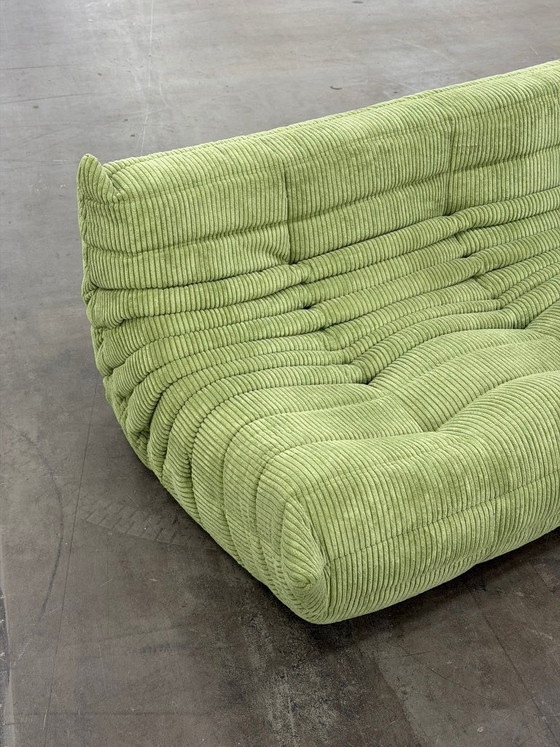 Image 1 of Linea Togo Rosette | Velluto a coste |
