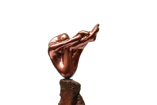 Rééquilibrage de la nature