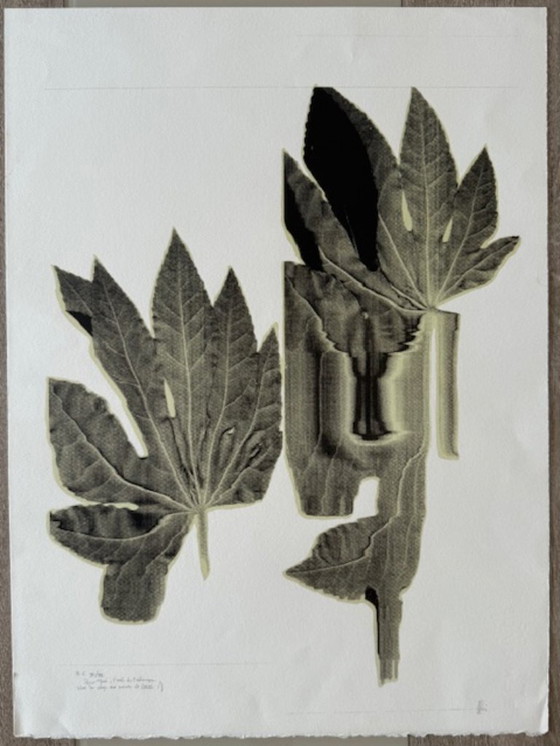 Image 1 of Due litografie firmate e numerate - Artista da identificare