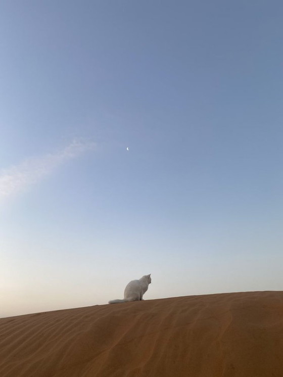 Image 1 of Camera