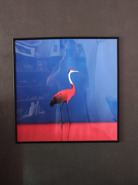 Photographies Eric Lespinasse – Glass, Metal (photo 2 of 8)