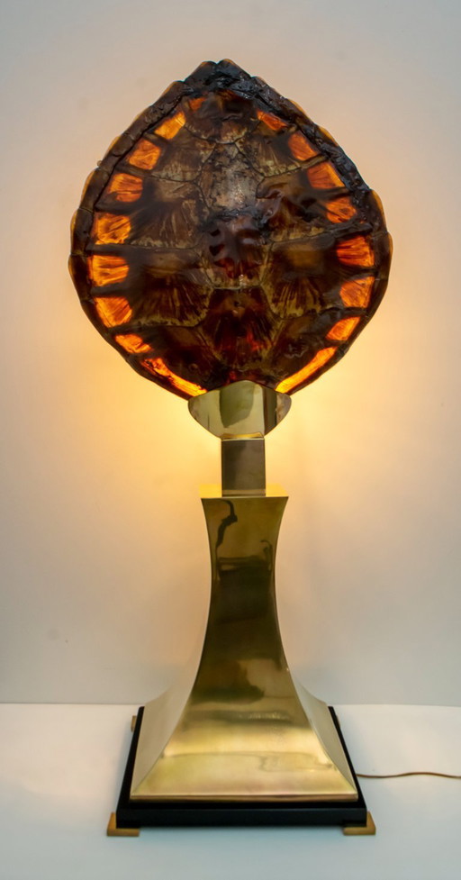 Turtle Shell and Brass Table Lamp, Attrib. to Willy Daro