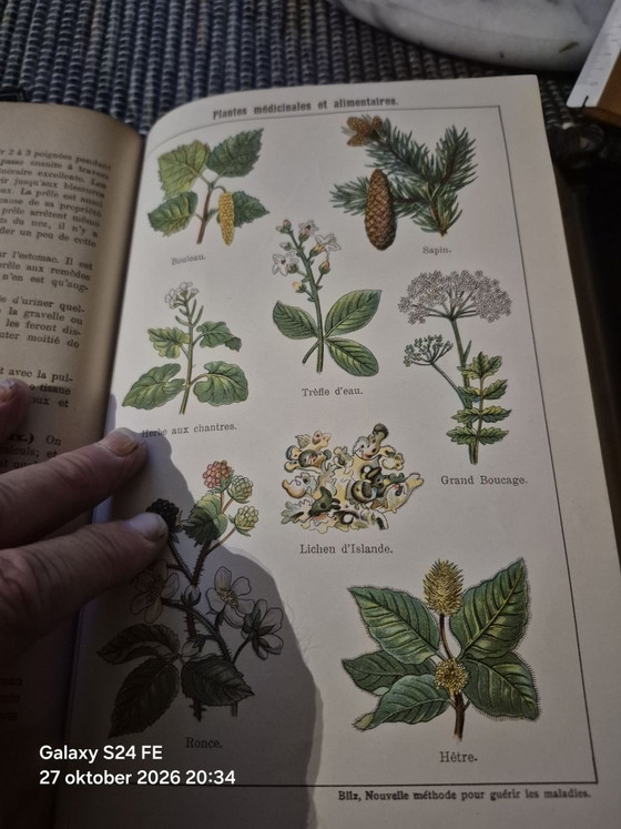 Antico libro medico di riferimento, Libri d'arte, Carta, Tessile, Beige (foto 7 di 15)
