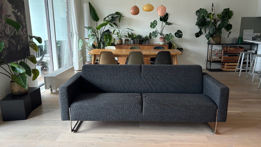 Artifort Stute | 2,5-Sitzer-Sofa | Anthrazit