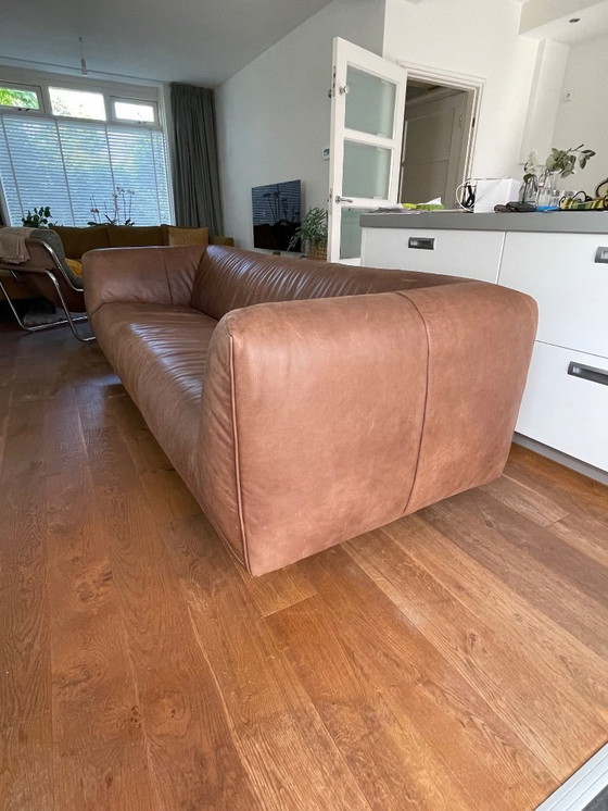 Image 1 of Label, Moby Dick 3 zits