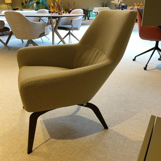 Image 1 of bert plantagie Zyba Low armchair