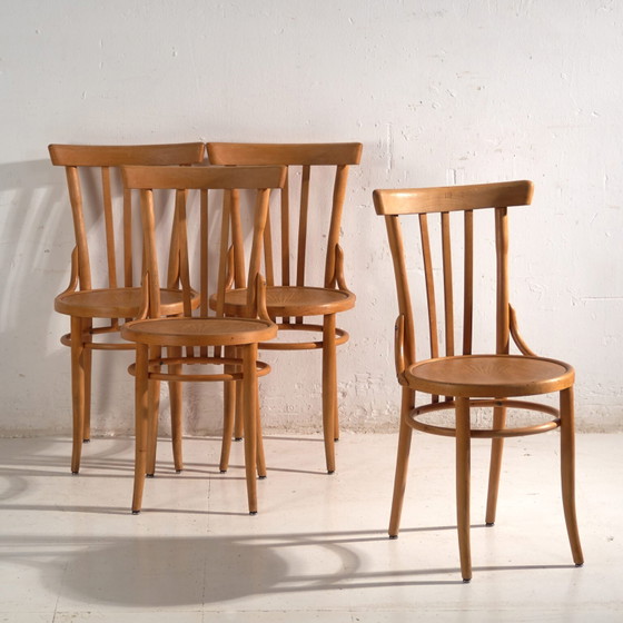 Antique chairs in Thonet style bentwood – Central Europe, circa 1930 #1 – Dining chairs (photo 8 of 40)