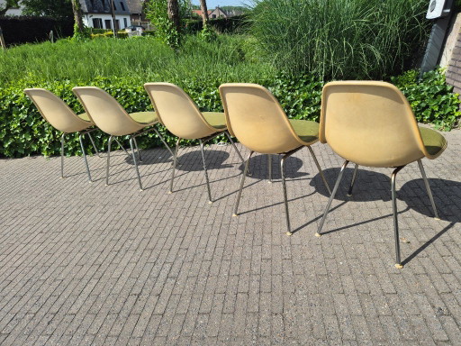 6x Herman Miller Eames dining chair