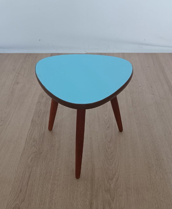 Image 1 of Vijftiger jaren plantentafel
