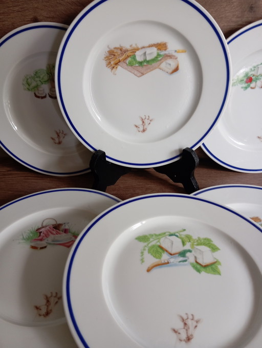 8 tablas de quesos / quesos de Francia de Guy Degrenne