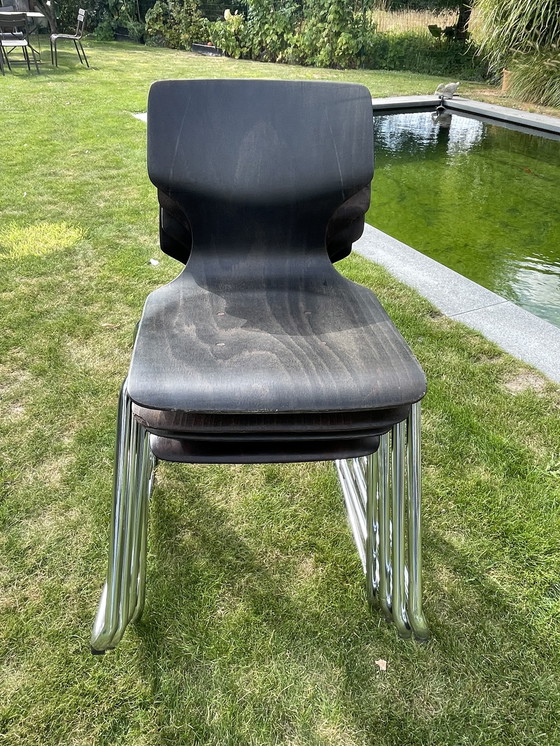 Image 1 of Sedia impilabile Pagholz flötotto vintage 6 pezzi